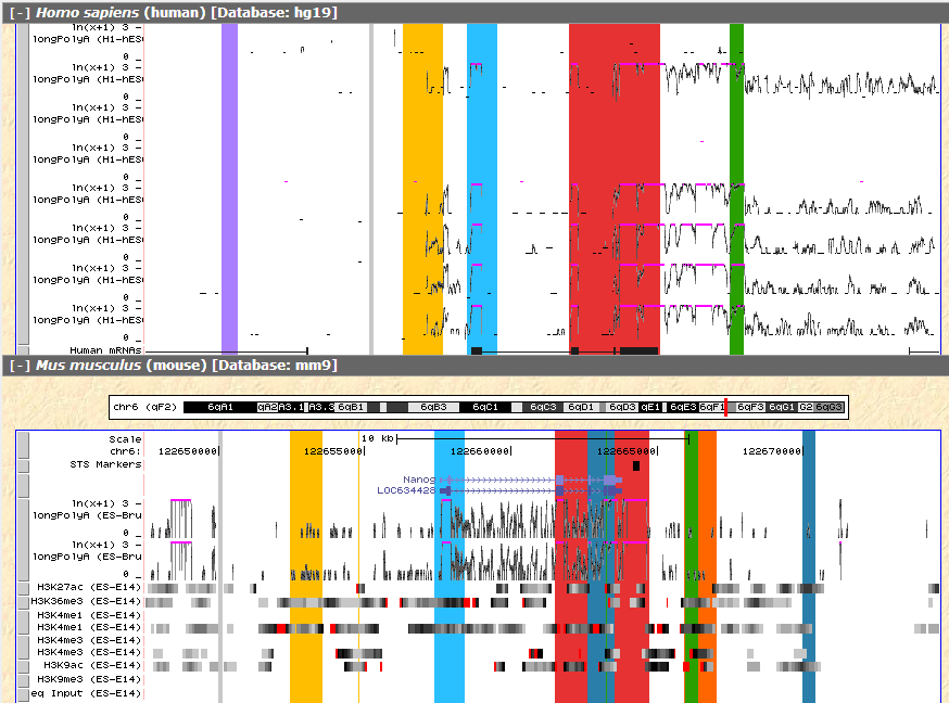 RNA-seq results